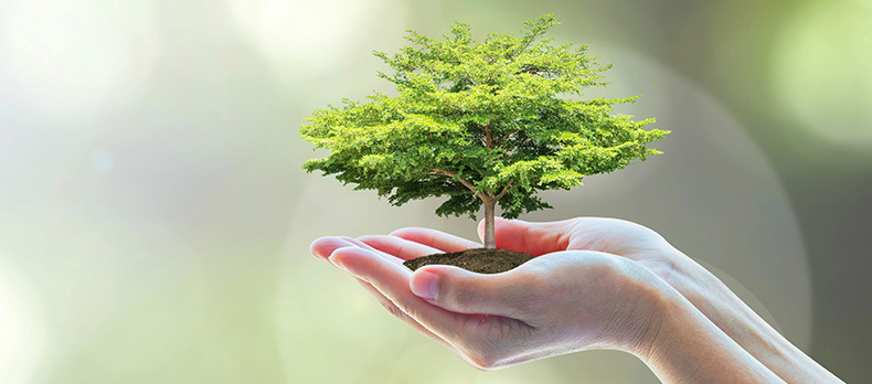 Sustainability / recycling approach